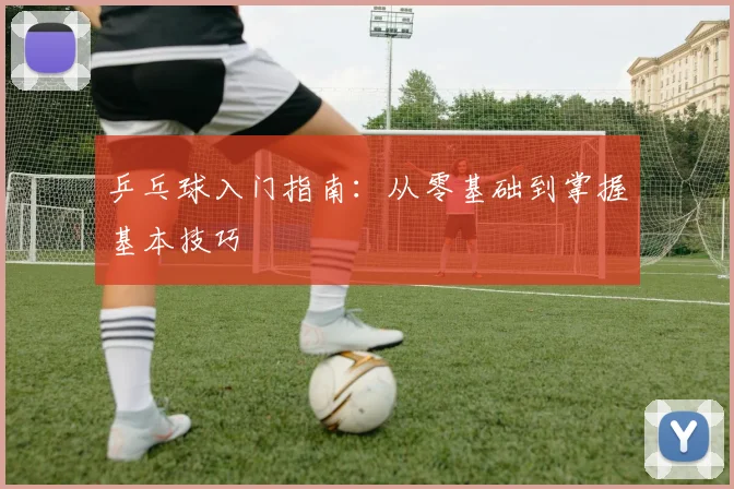乒乓球入门指南：从零基础到掌握基本技巧