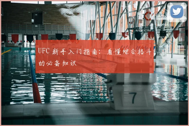 UFC 新手入门指南：看懂综合格斗的必备知识