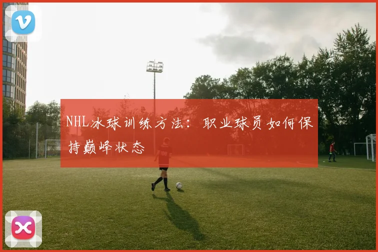 NHL冰球训练方法：职业球员如何保持巅峰状态