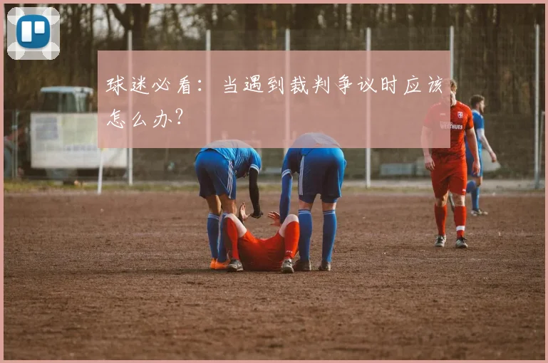 球迷必看：当遇到裁判争议时应该怎么办？