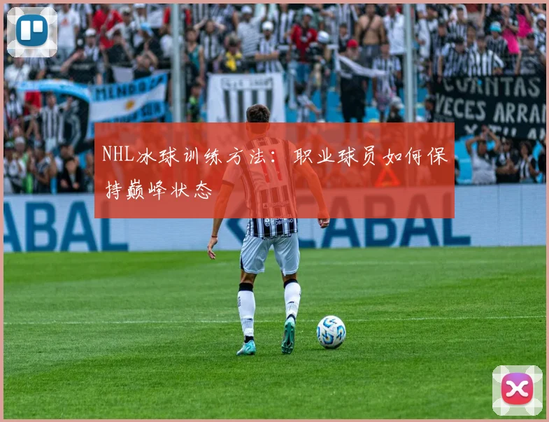 NHL冰球训练方法：职业球员如何保持巅峰状态